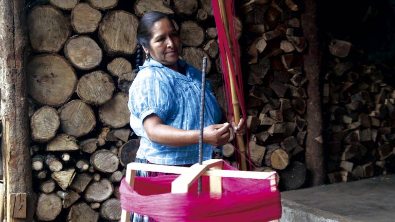 Más allá del rosa; los colores que México le dio al mundo - El Sol de  Zacatecas