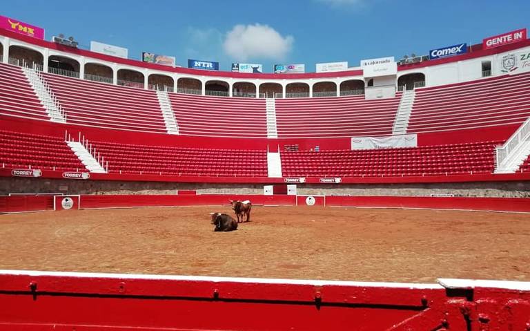 Edgar Badillo a la espera que abran las puertas de las plazas de toros  torero matador receso deportes fiesta brava - El Sol de Zacatecas |  Noticias Locales, Policiacas, sobre México, Zacatecas