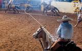 El Sol de Zacatecas