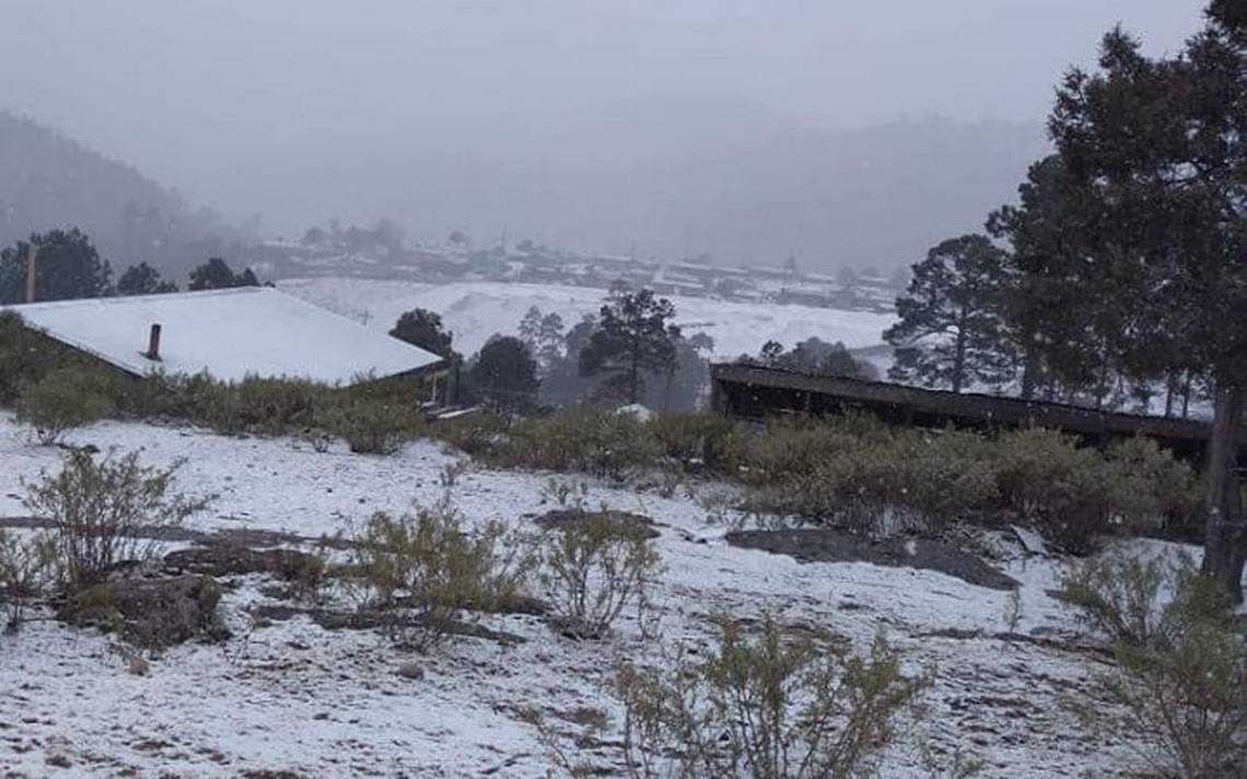 Clima Cae nevada en Durango Guanaceví Tepehuanes frente frío 36